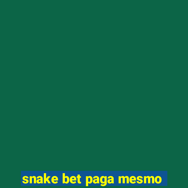 snake bet paga mesmo